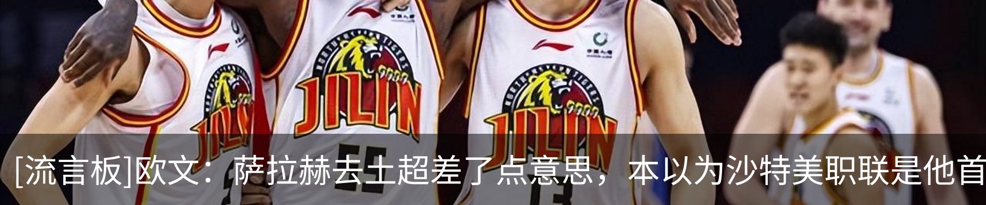 新闻动态